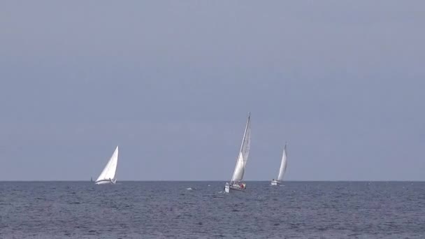 Лодки, плавающие в море — стоковое видео