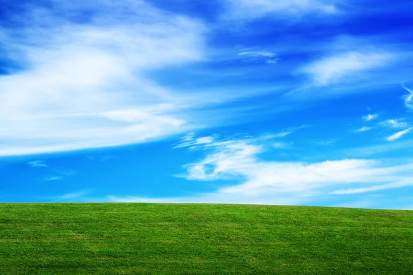 Orizzonte sul campo verde e bellissimo cielo blu con nuvole — Foto Stock