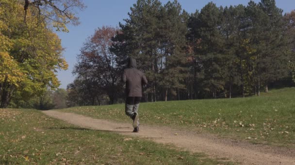 Homme jogging dans le parc en début de matinée d'automne 