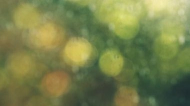 Soyut sonbahar ışık bokeh arka plan