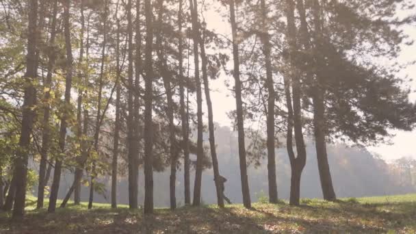 Slider tiro de homem jogging no parque — Vídeo de Stock