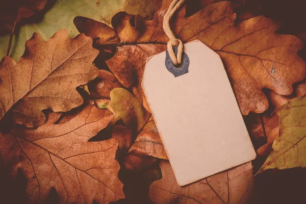Cartellino del prezzo da con spago su sfondo foglie asciutte autunno — Foto Stock