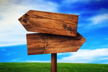 Blank Rustic Opposite Direction Wooden Sign on Grassland Field