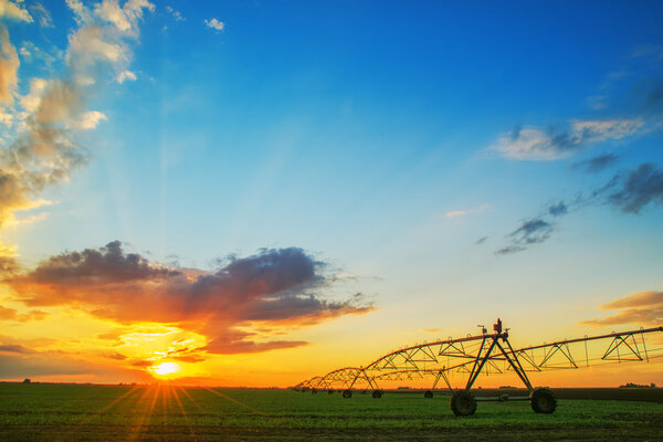 Automated farming irrigation system in sunset