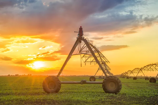 Sistema automatico di irrigazione agricola al tramonto — Foto Stock