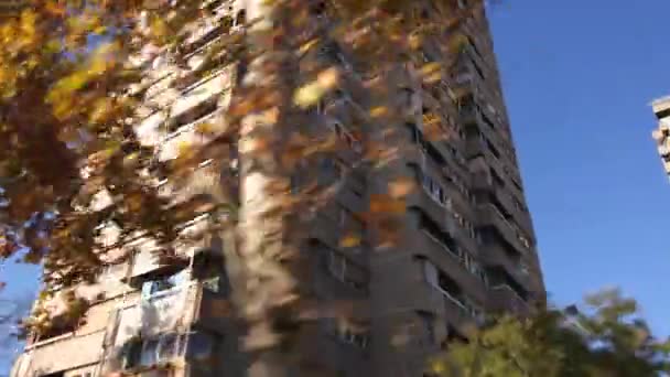 Conducción de coche a través de barrio residencial — Vídeo de stock