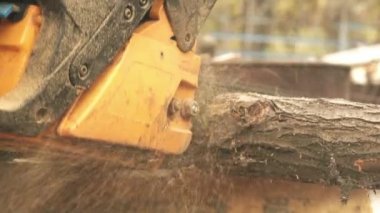 Elektrikli testere ile ahşap kütükleri kesen erkekler