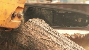 Elektrikli testere ile ahşap kütükleri kesen erkekler