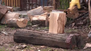 Oduncu kesme yakacak odun baltası ile günlüğe kaydeder.