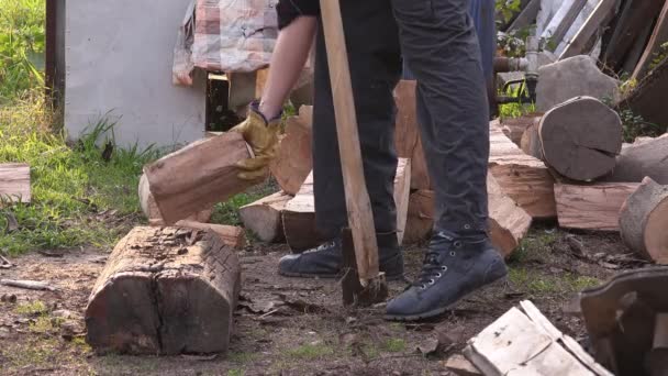 Lumberjack cutting firewood logs with axe — Stock Video