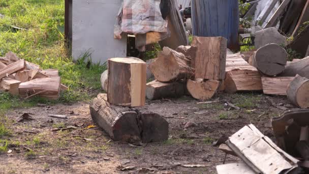 Lumberjack skärande ved stockar med yxa — Stockvideo