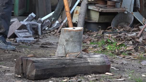 Madera aserrada cortando troncos de leña con hacha — Vídeo de stock