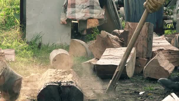 Lumberjack cuts wood logs with splitting axe — Stock Video