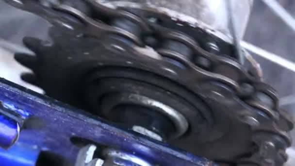 Bicycle gear and chain — Stock Video