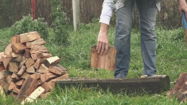 Lumberjack skärande ved med yxan — Stockvideo