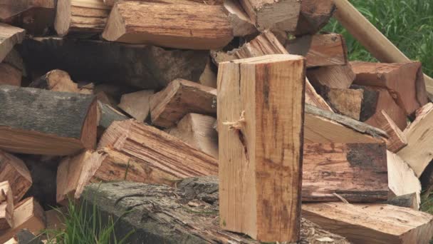 Madera aserrada cortando troncos con hacha — Vídeos de Stock