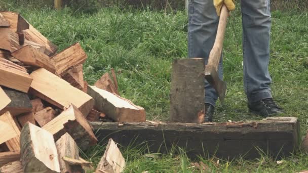 Man cutting firewood logs with axe — Stock Video