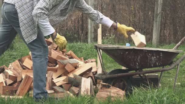 Человек загружает тачку дровяными дровами — стоковое видео