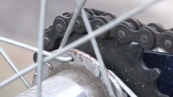 Bicycle gear and chain — Stock Video