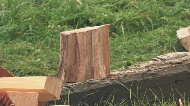 Houthakker snijden brandhout met bijl — Stockvideo