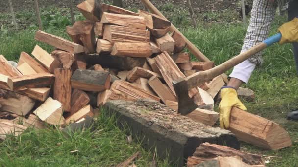 Madera aserrada cortando leña con hacha — Vídeos de Stock