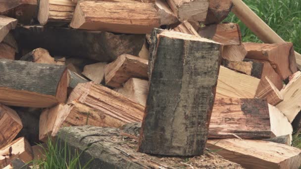 Drwal cięcie drewna opałowego z siekierą — Wideo stockowe