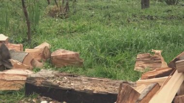 Oduncu kesme odunları balta ile