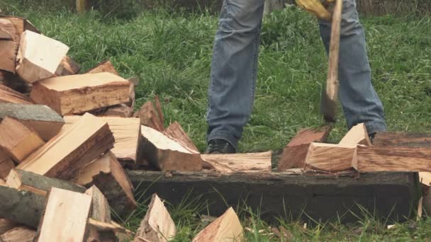 Madera aserrada cortando leña con hacha — Vídeos de Stock