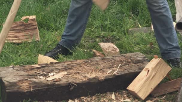 Lumberjack laddar ved till skottkärra — Stockvideo
