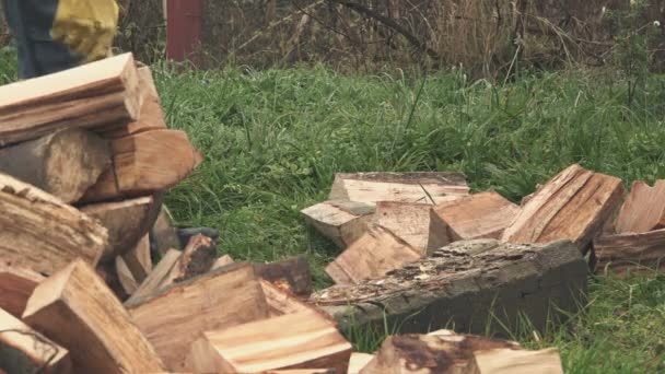 Pilarz, drwal w rąbaniu drewna opałowego z siekierą — Wideo stockowe