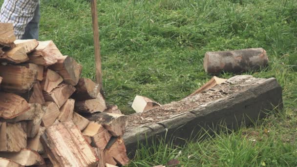 Holzfäller hackt Brennholz mit Axt — Stockvideo