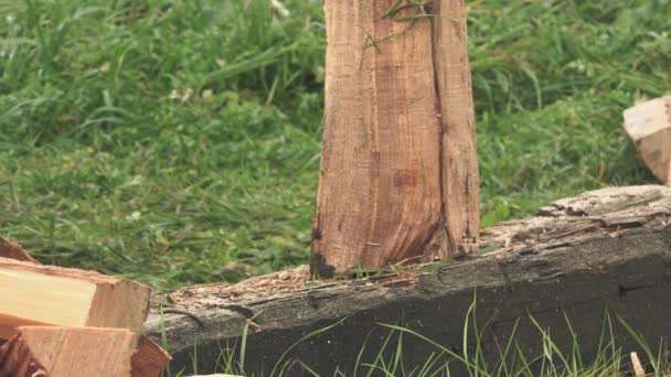 Bois de chauffage coupé au bûcheron avec hache — Video