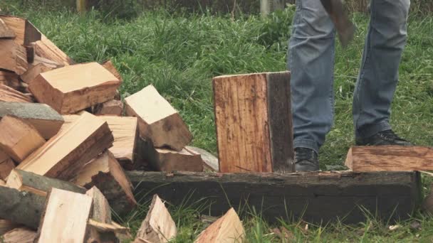 Madera aserrada picando leña con hacha — Vídeos de Stock