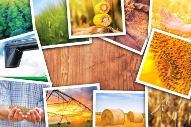 Tarım temalı fotoğrafları kolaj bir