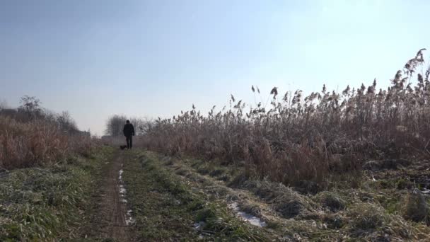 Hombre y perro paseando al aire libre en invierno por la tarde — Vídeos de Stock