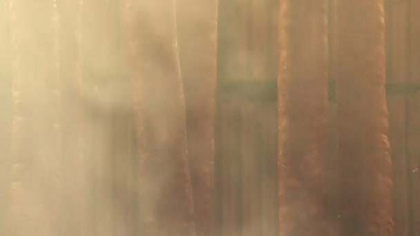 Saucisses fumées maison, charcuterie de viande de porc salée 