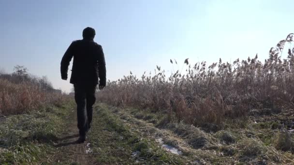 Hombre y perro paseando al aire libre en invierno por la tarde — Vídeos de Stock