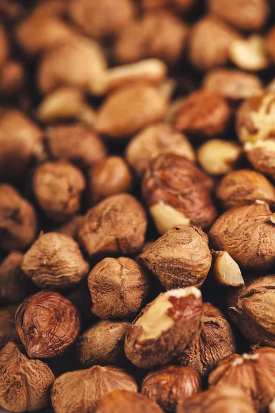 Viele reife Haselnüsse, Makroschuss — Stockfoto