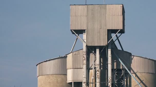 Stormo di uccelli che volano intorno alla costruzione di silos di grano — Video Stock