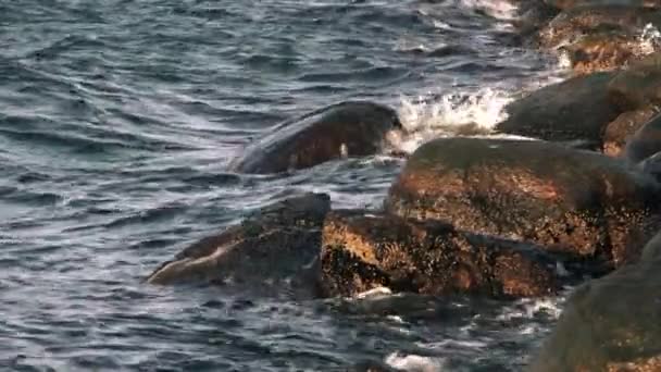 Golven drukproef op rotsachtige kust — Stockvideo