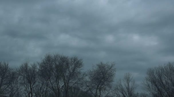 Inverno estação tempo lapso imagens de nuvens sobre árvores nuas — Vídeo de Stock