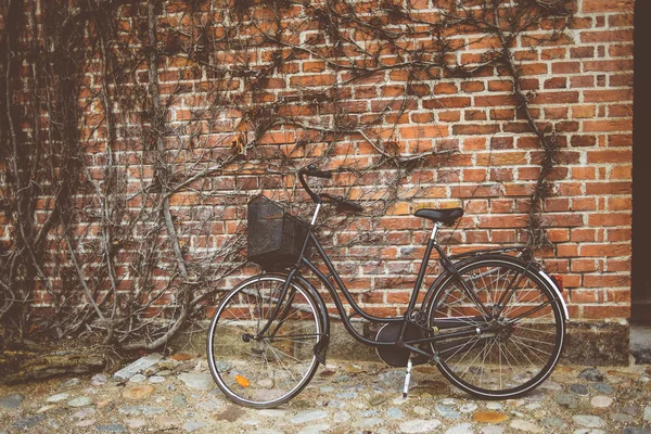 Oldtimer-Fahrrad an die Wand gelehnt — Stockfoto