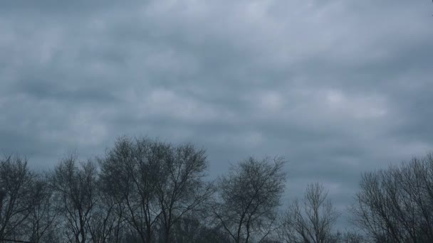Kış sezon zaman atlamalı görüntüleri çıplak ağaç tepelerinin üzerinden bulutlar — Stok video