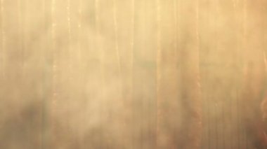 Ev yapımı tütsülenmiş sosis, kurutulmuş domuz eti