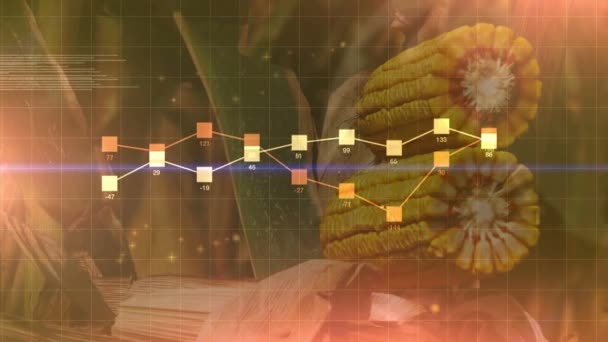 Maïs oogst oogst abstracte infographics diagram animatie — Stockvideo