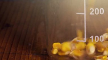 Laboratuvar yemek nem ve ağırlık için doldurma Mısır tohum test