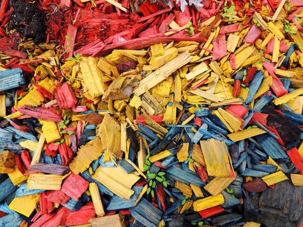 Decorative mulch of wood chips — Stock Photo, Image