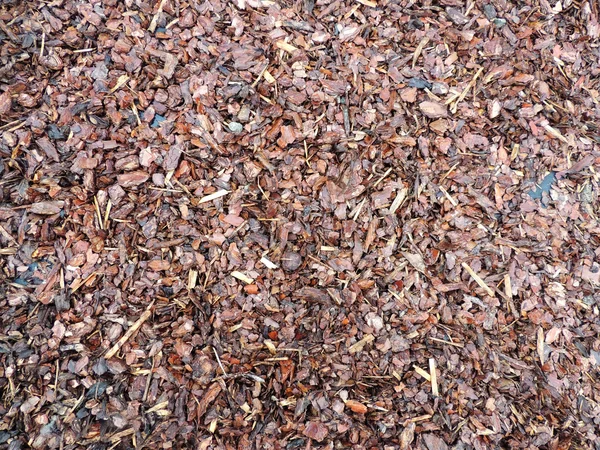 Mulch from the bark of conifers — Stock Photo, Image