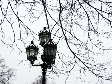 Sokak lambası parkta. St. Petersburg