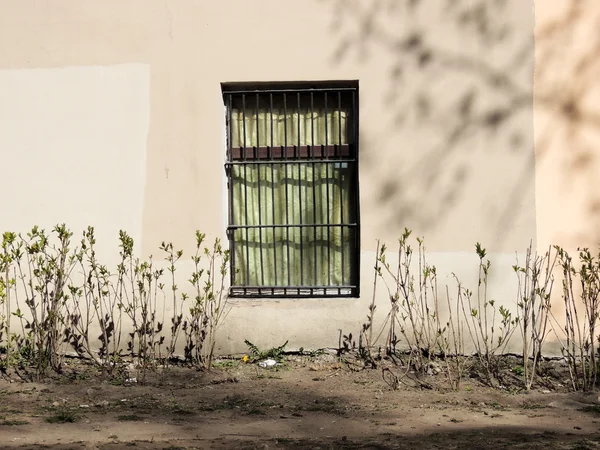 화창한 봄 날, 창 벽 — 스톡 사진